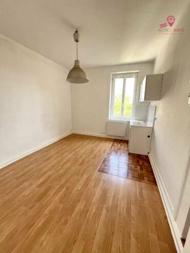 T1 Lyon 8ème secteur Santy – La Plaine