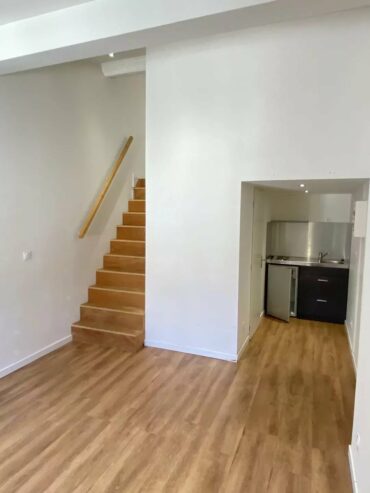 T2 duplex Lyon 2ème Place Antonin Poncet