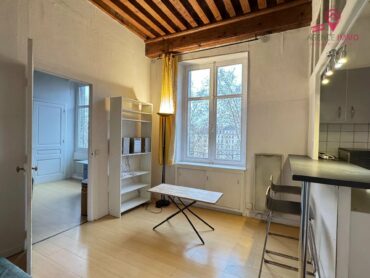 Agréable T2 meublé Lyon 5