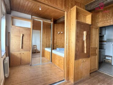 T1 bis Lyon 7ème Garibaldi / Parc Blandan